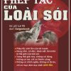 Sách Nói Mp3 Full Phép Tắc Của Loài Sói - Tác Giả Liệt Phu Minh Tân (kenhsachnoi.com)